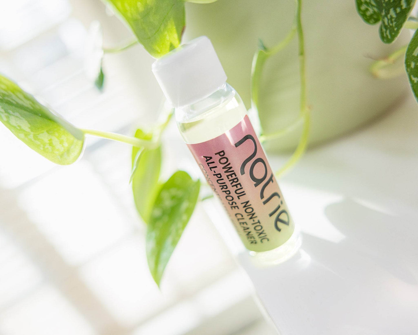 All Purpose Cleaner - Concentrated Refill - Bergamot & Lime. Sample size. - Natrie